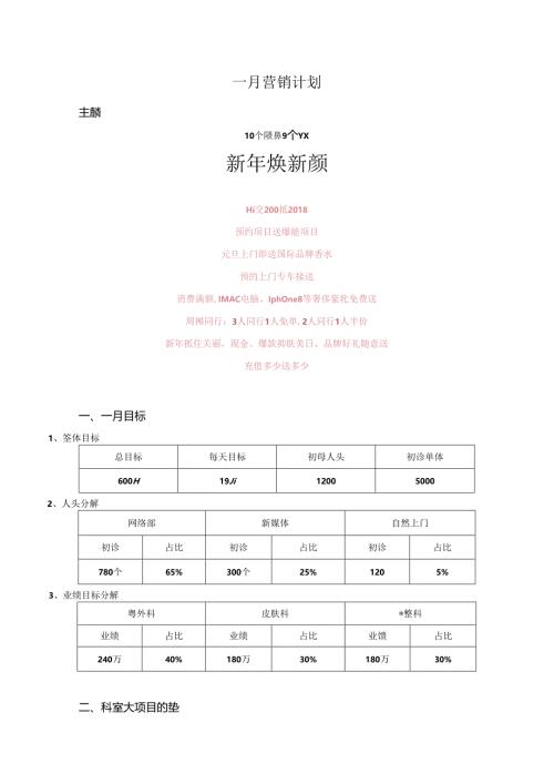 医美整形医院1月营销计划方案.docx