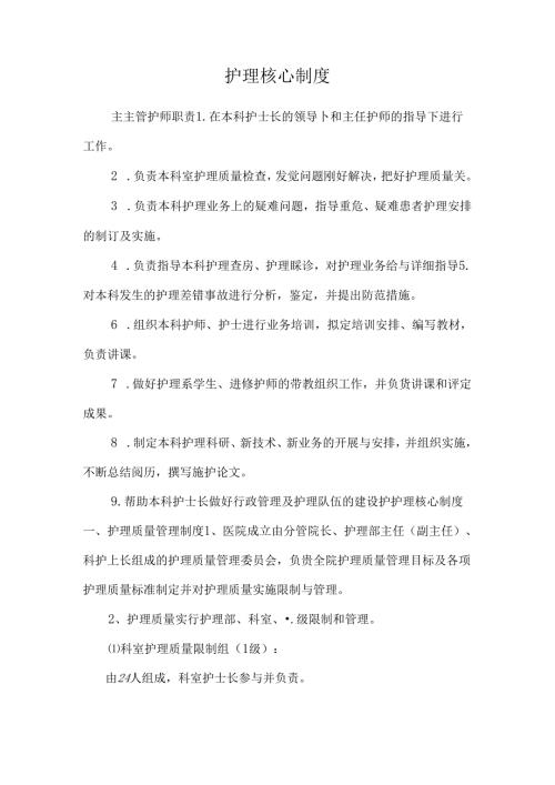 护 理 核 心 制 度.docx