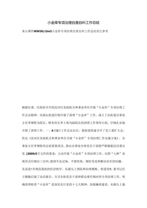 小金库专项治理自查自纠工作总结.docx