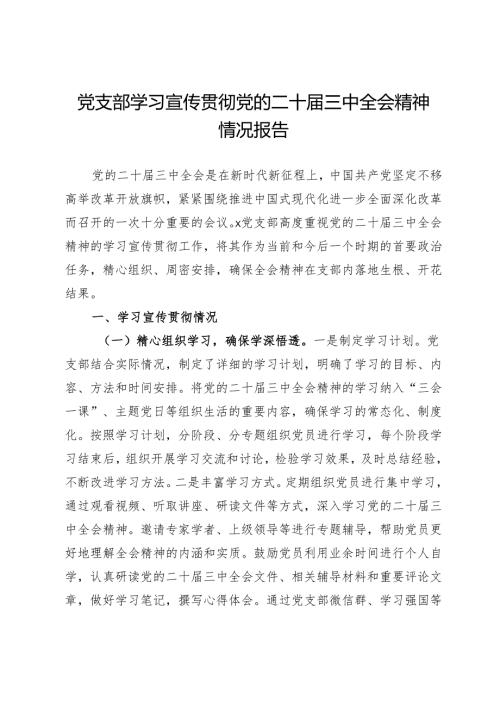 党支部学习宣传贯彻党的二十届三中全会精神情况报告.docx