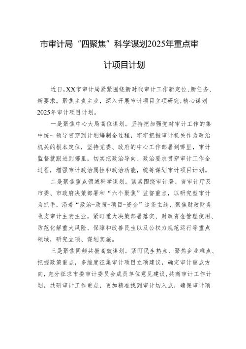 市审计局“四聚焦”科学谋划2025年重点审计项目计划(20241114).docx