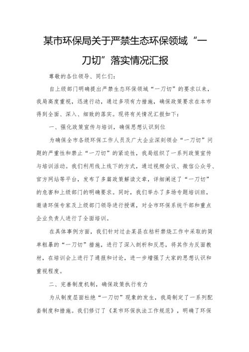 某市环保局关于严禁生态环保领域“一刀切”落实情况汇报.docx