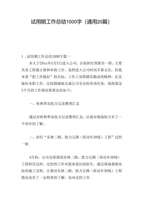 试用期工作总结1000字（通用20篇）.docx
