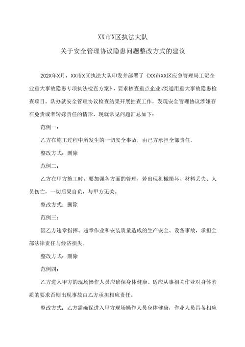 XX市X区执法大队关于安全管理协议隐患问题整改方式的建议（2024年）.docx