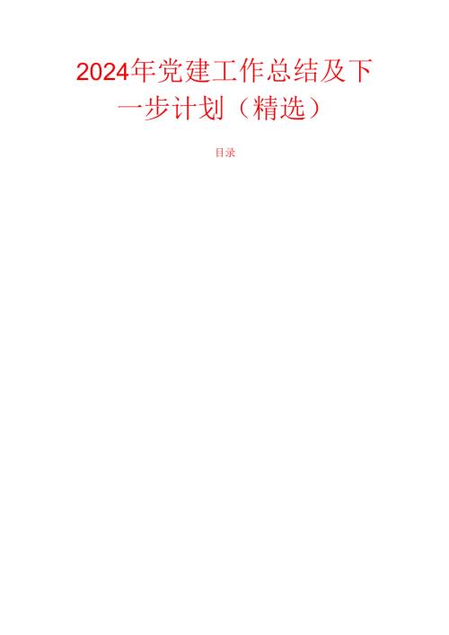 2024 党建工作总结及下一步计划（精选）.docx