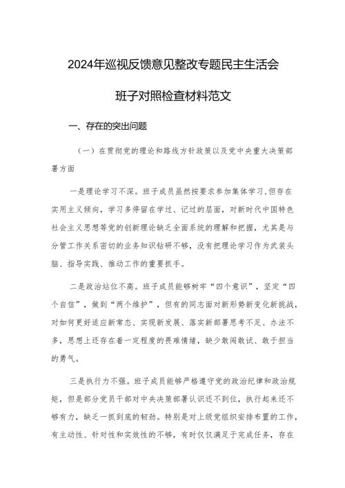 2024年巡视反馈意见整改专题民主生活会班子对照检查材料范文.docx
