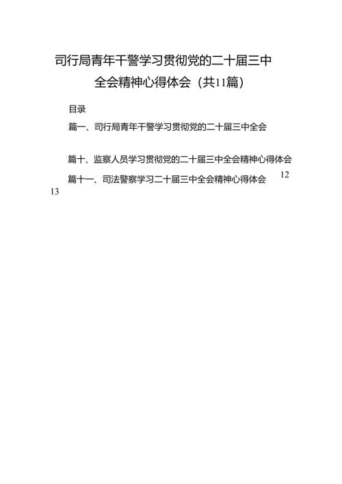 （11篇）司行局青年干警学习贯彻党的二十届三中全会精神心得体会范文.docx