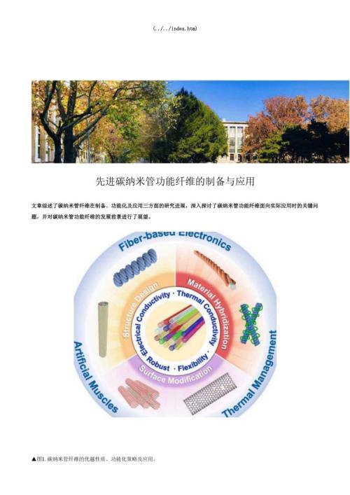 先进碳纳米管功能纤维的制备与应用.docx