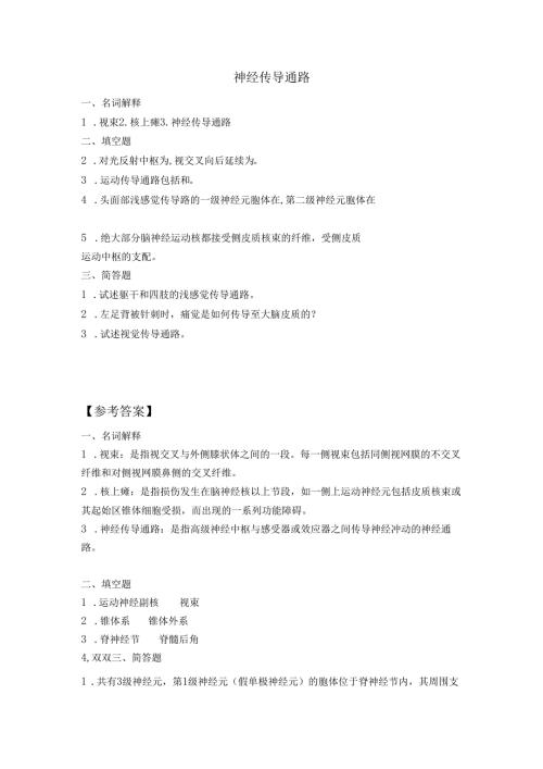 《老年人生理结构与机能》神经传导通路作业.docx