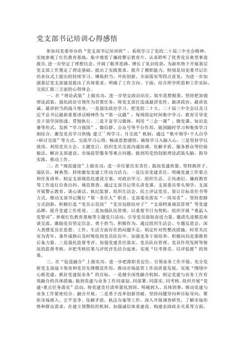 党支部书记培训心得感悟.docx