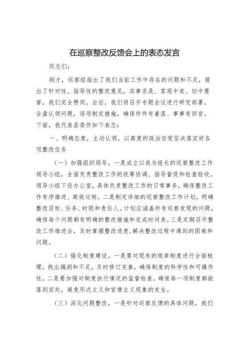 在巡察整改反馈会上的表态发言.docx