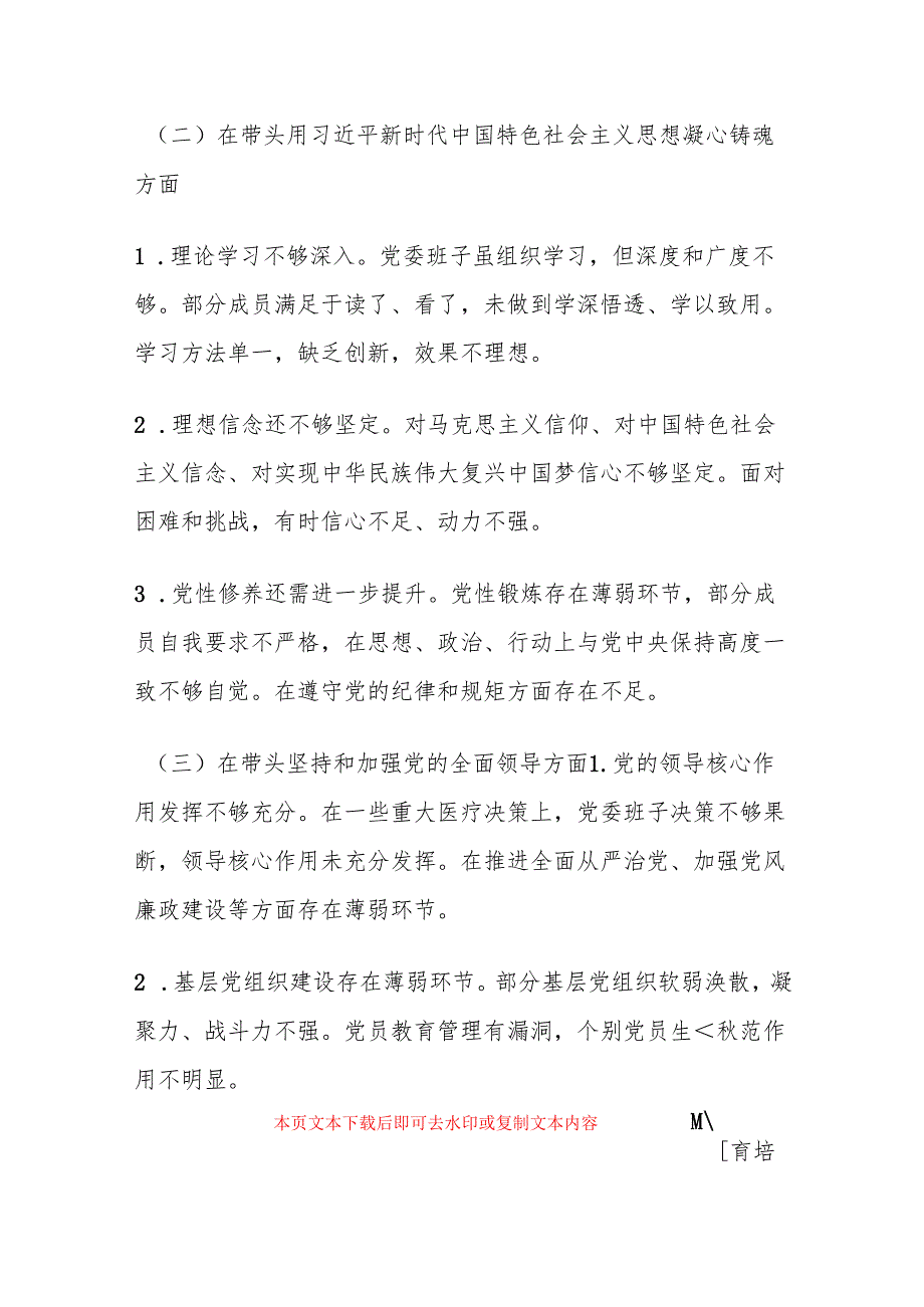 2024 年度医院党委民主生活会对照检查材料.docx_第3页