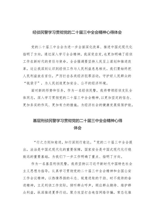 经侦民警学习贯彻党的二十届三中全会精神心得体会（共8篇）.docx