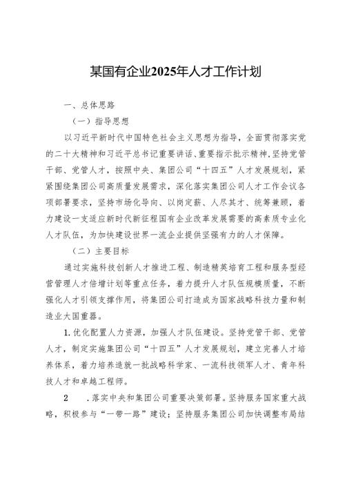 某国有企业2025年人才工作计划.docx