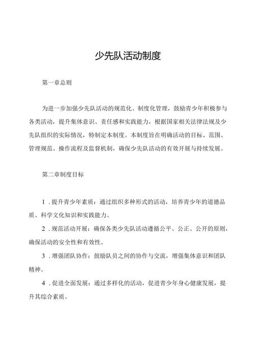 少先队活动制度.docx
