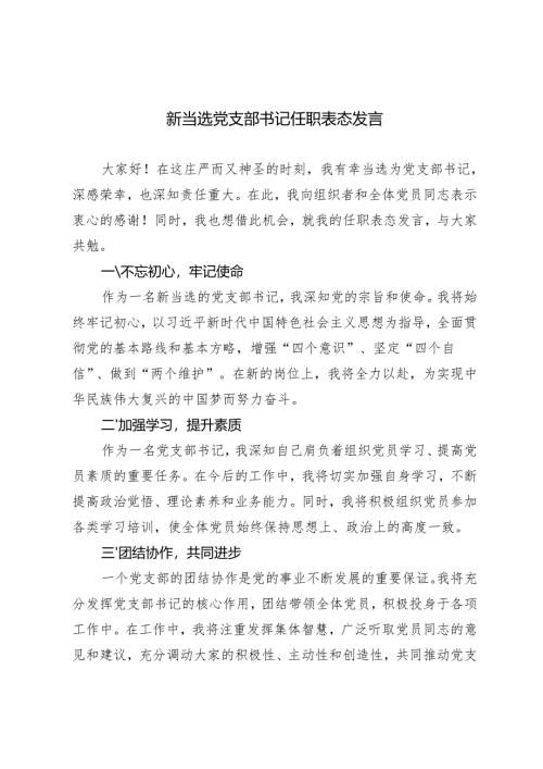2024年新当选党支部书记任职表态发言稿.docx