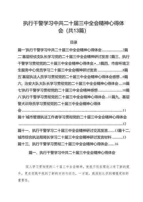 执行干警学习中共二十届三中全会精神心得体会（共13篇）.docx