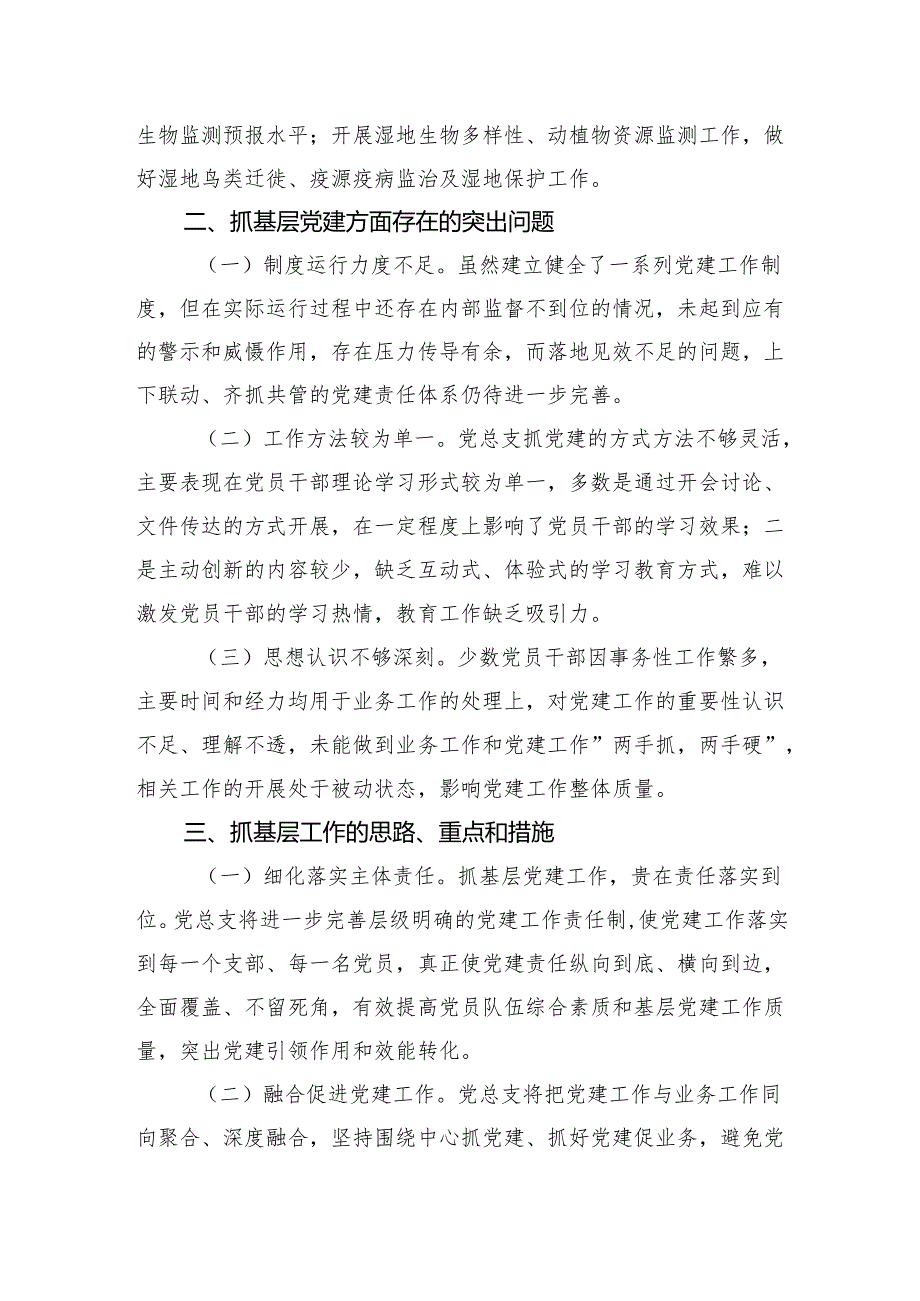 2024年党总支书记抓基层党建工作述职报告.docx_第2页