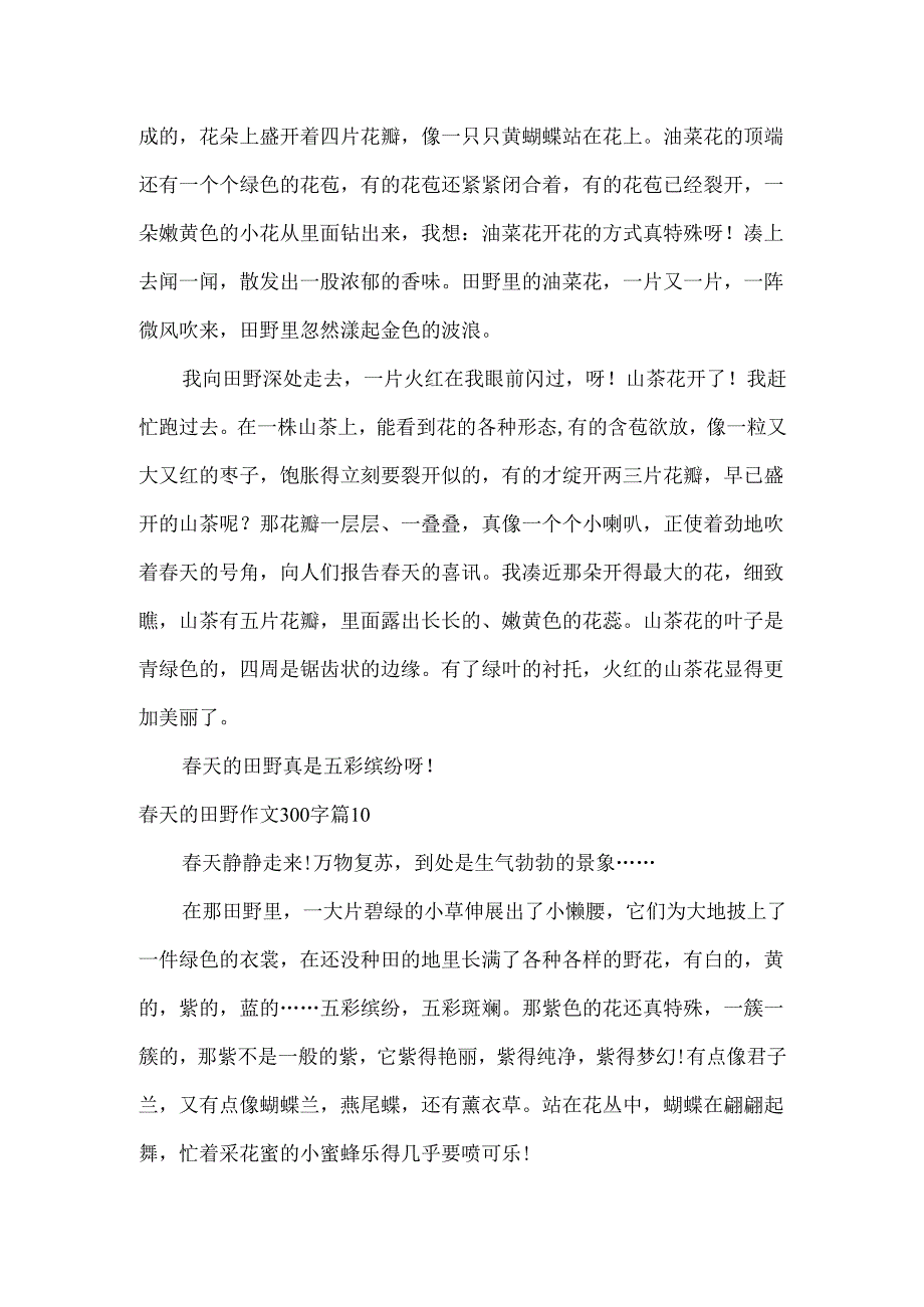 春天的田野作文300字.docx_第3页