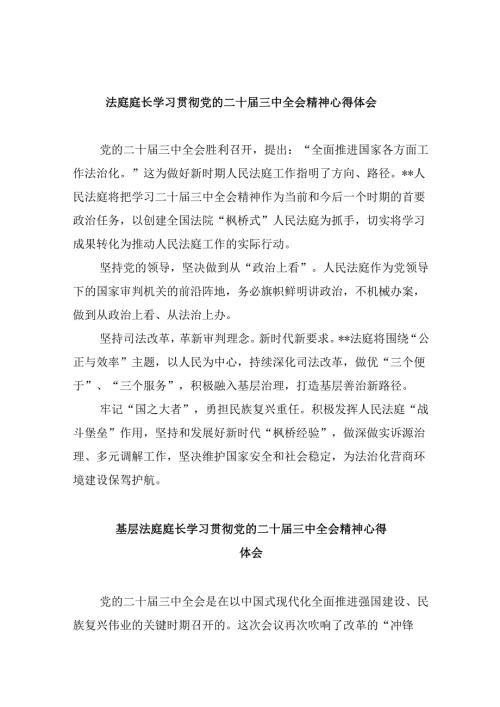 （11篇）法庭庭长学习贯彻党的二十届三中全会精神心得体会通用精选.docx
