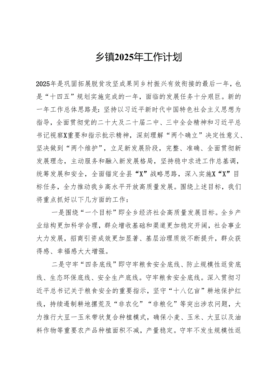 乡镇2025年工作计划.docx_第1页