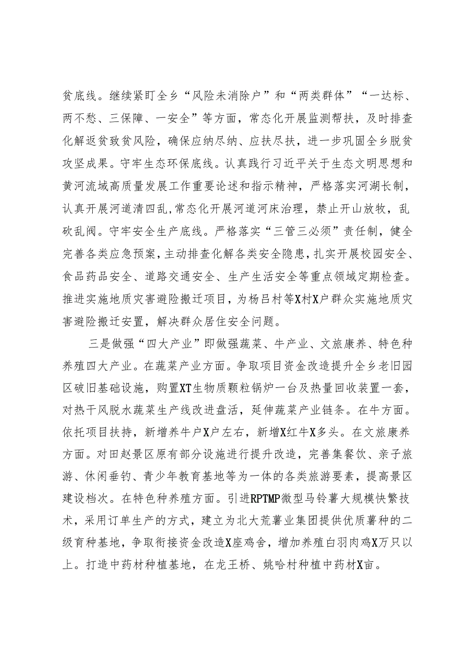乡镇2025年工作计划.docx_第2页