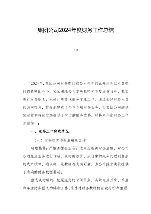 集团公司2024年度财务工作总结.docx