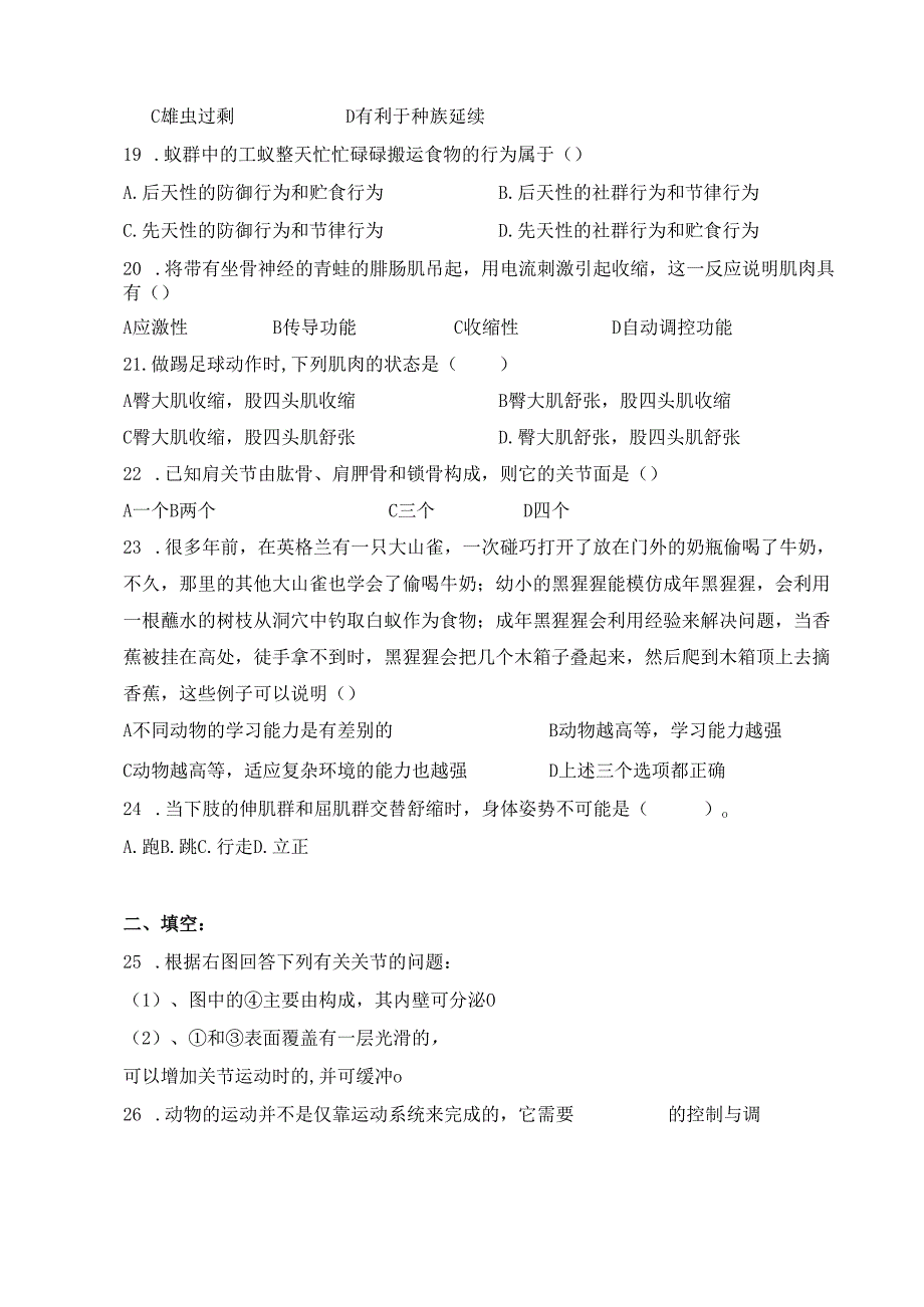 5.2.1《动物的运动》.docx_第3页