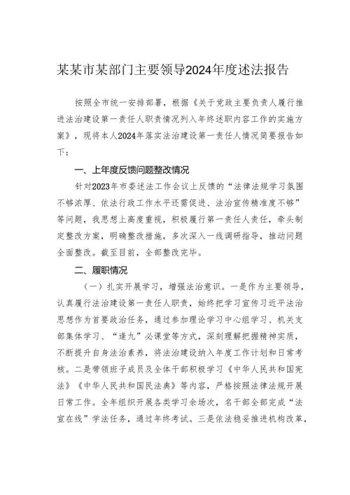 某某市某部门主要领导2024年度述法报告.docx