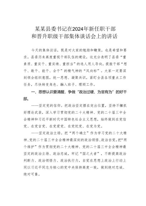 某某县委书记在2024年新任职干部和晋升职级干部集体谈话会上的讲话.docx