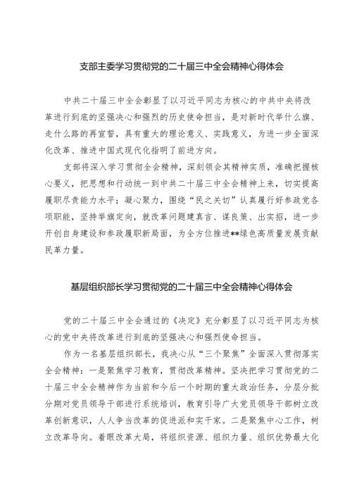 支部主委学习贯彻党的二十届三中全会精神心得体会（共三篇）.docx