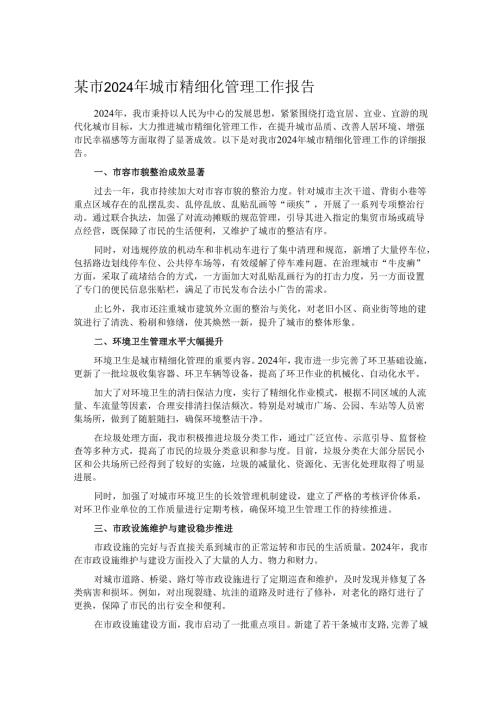 某市 2024 年城市精细化管理工作报告.docx