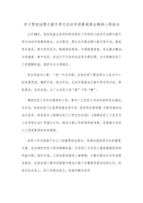 学习贯彻治理欠薪冬季行动动员部署视频会精神心得体会.docx