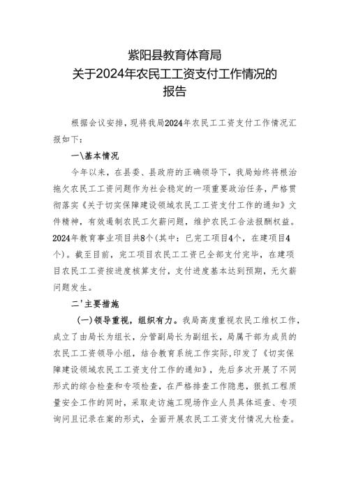 2024年农民工工资支付工作情况的报告.docx