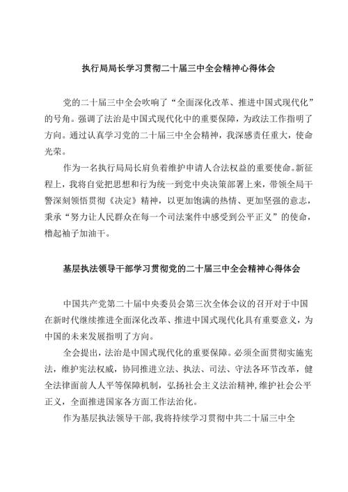(四篇)执行局局长学习贯彻二十届三中全会精神心得体会（详细版）.docx
