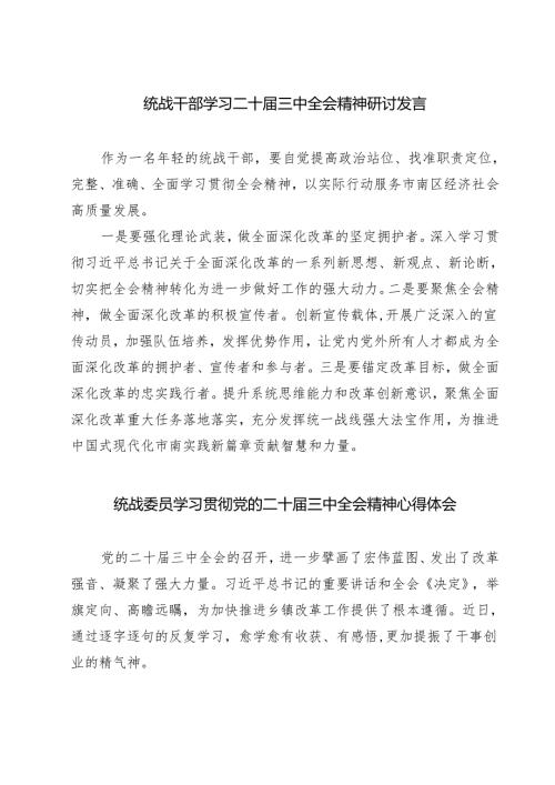 (四篇)统战干部学习二十届三中全会精神研讨发言（精选）.docx