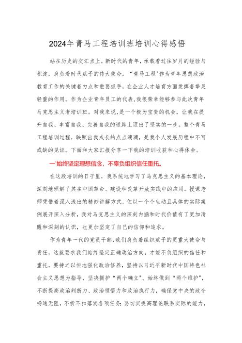 2024年青马工程培训班培训心得感悟.docx