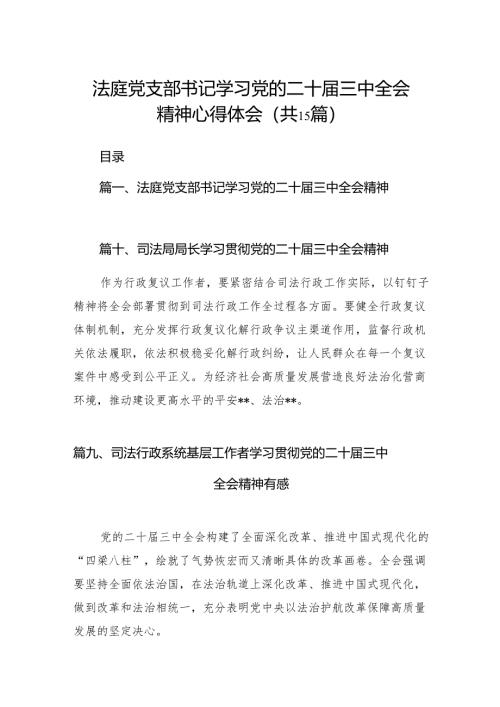 （15篇）法庭党支部书记学习党的二十届三中全会精神心得体会范文.docx
