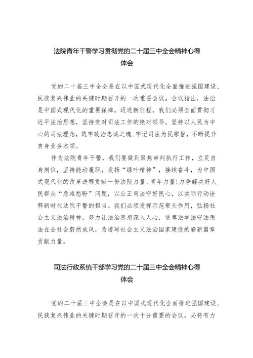 法院青年干警学习贯彻党的二十届三中全会精神心得体会【八篇精选】供参考.docx
