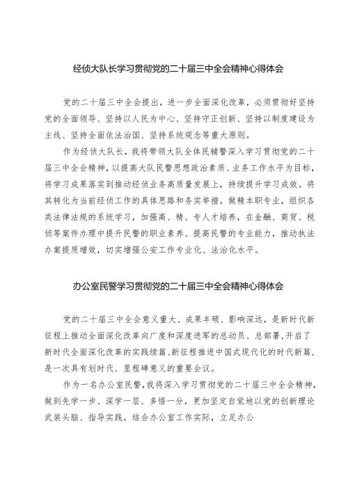 (四篇)经侦大队长学习贯彻党的二十届三中全会精神心得体会（详细版）.docx