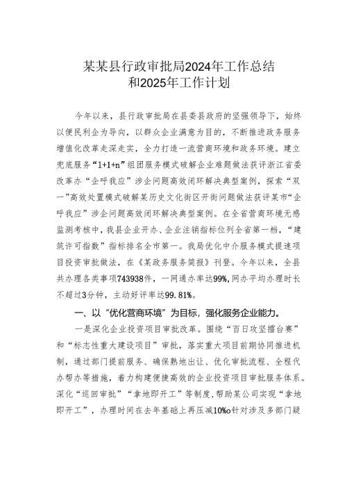 某某县行政审批局2024年工作总结和2025年工作计划.docx
