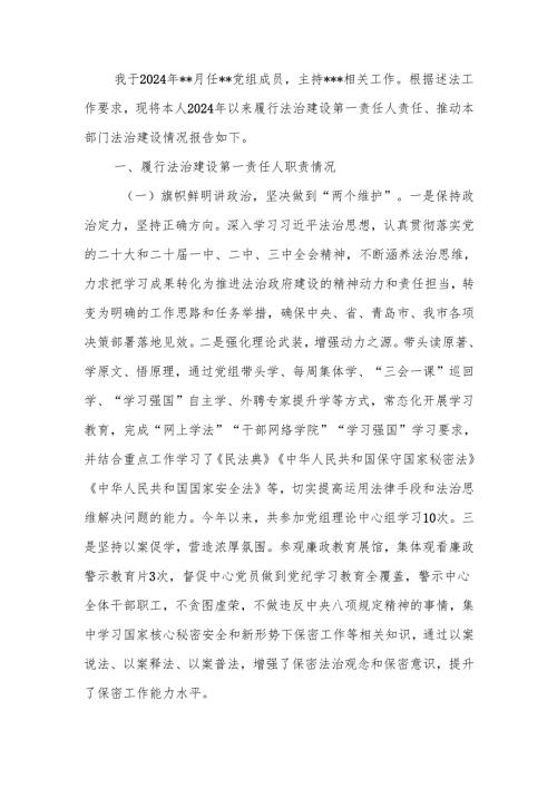 主要负责人履行推进法治建设第一责任人职责情况述法报告.docx