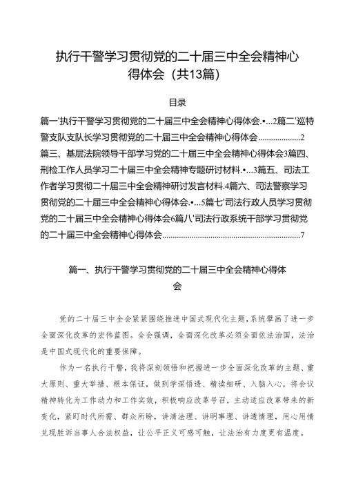 （13篇）执行干警学习贯彻党的二十届三中全会精神心得体会（精选）.docx