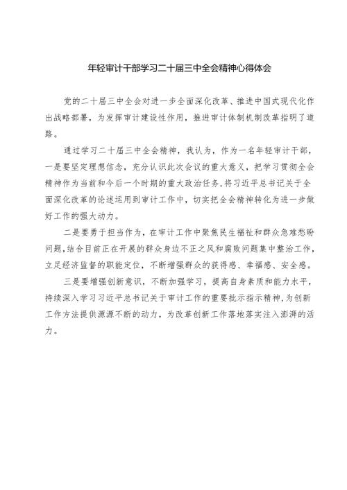 (四篇)年轻审计干部学习二十届三中全会精神心得体会（详细版）.docx