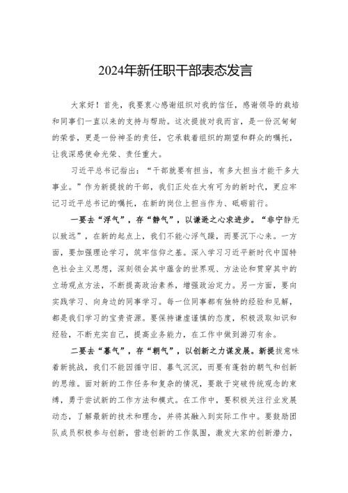 2024年新任职干部表态发言.docx