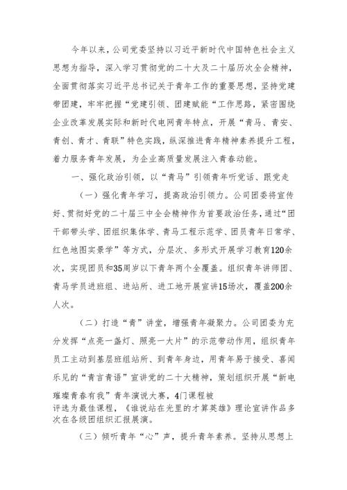 国有企业2024年青年培养工作总结.docx