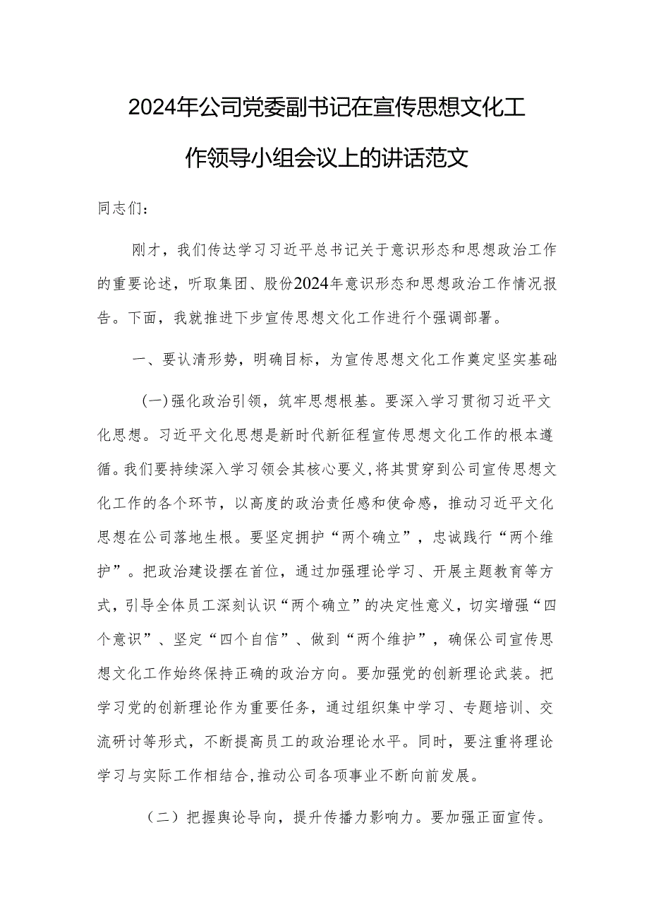 2024年公司党委副书记在宣传思想文化工作领导小组会议上的讲话范文.docx_第1页