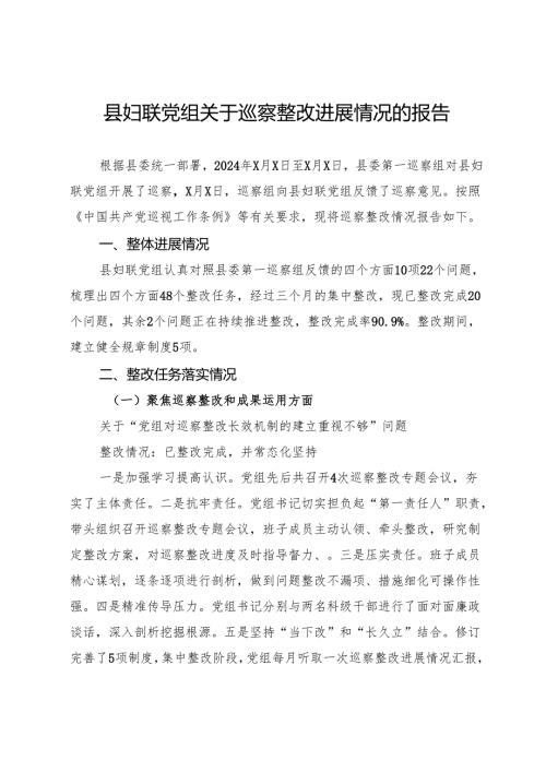 县妇联党组关于巡察整改进展情况的报告.docx
