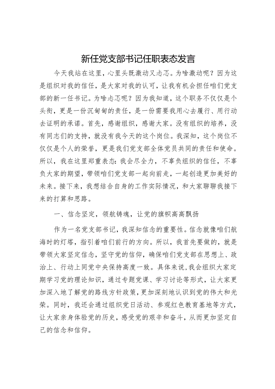 新任党支部书记任职表态发言.docx_第1页