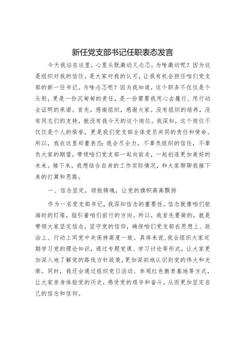 新任党支部书记任职表态发言.docx